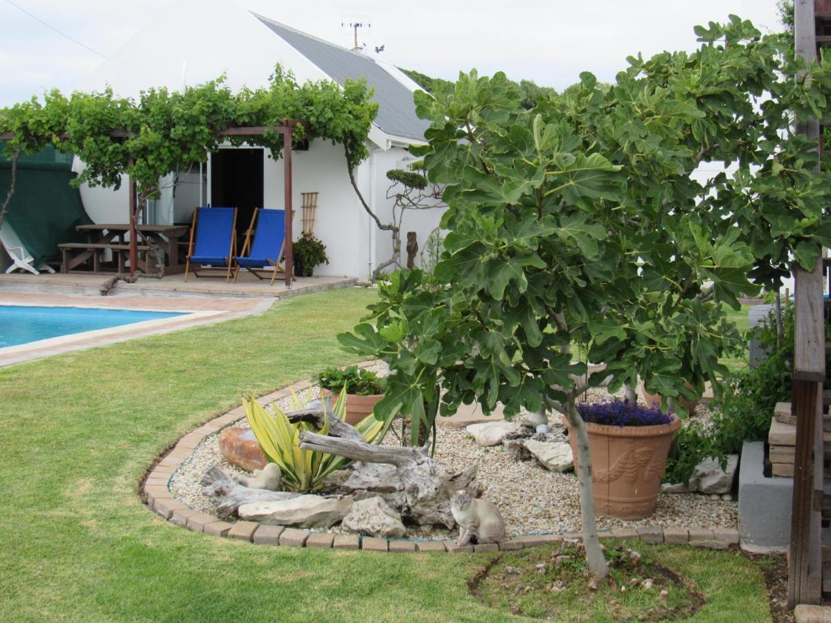 Omega Suite Gansbaai Εξωτερικό φωτογραφία